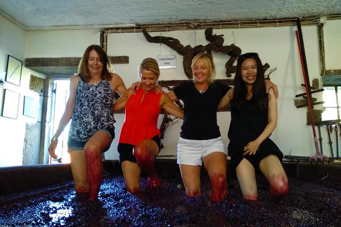 Wine Venture and Boat Trip in Douro Valley from Porto - Pinhao Winery Stop: Your First Taste of Douro Winemaking