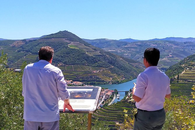Wine Venture and Boat Trip in Douro Valley from Porto - Peso da Régua Winery Stop: Lunch, Wine Pairings, and Proper Comfort Food